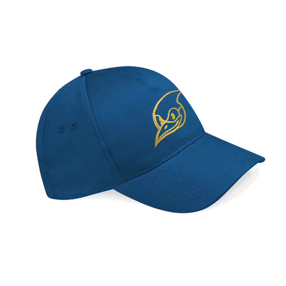 SB737 Gold Embroidered Cap