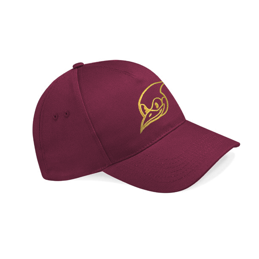 SB737 Gold Embroidered Cap
